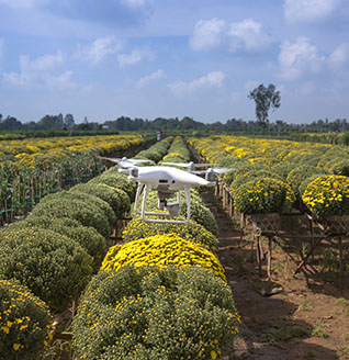 We Regularly Upload Photos.