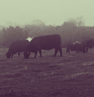 We Regularly Upload Photos.